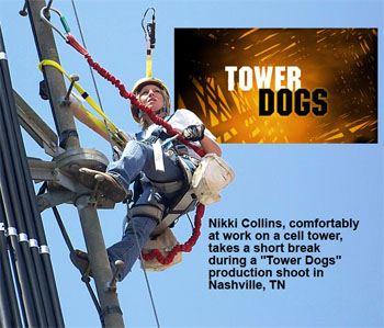 Tower Dogs